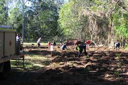 Volunteers planting natives in June 2007