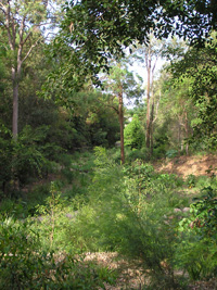 Grange Forest View