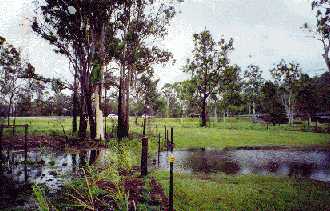 Grinstead Park