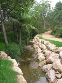 Pleasant shady stream