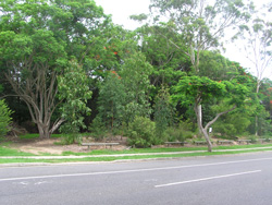 Dawson road section 3 years later