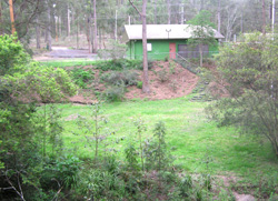 Rejuvenated scout area